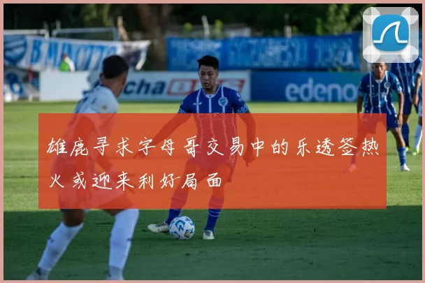 雄鹿寻求字母哥交易中的乐透签热火或迎来利好局面