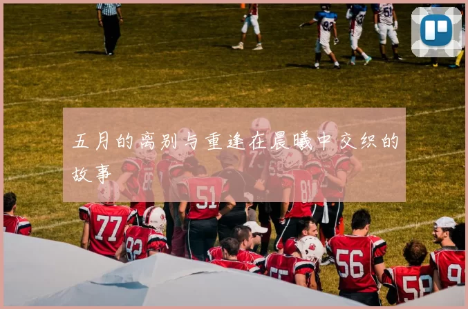 五月的离别与重逢在晨曦中交织的故事